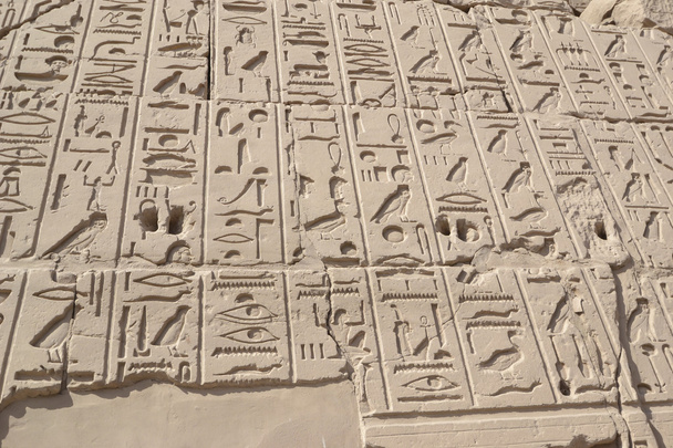 Egyptian hieroglyphic carvings on a wall - Photo, Image