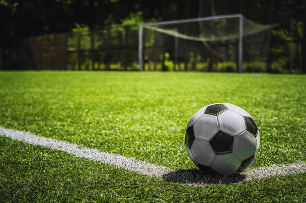 Vértes futball labda, zöld fű, naplementekor - Fotó, kép