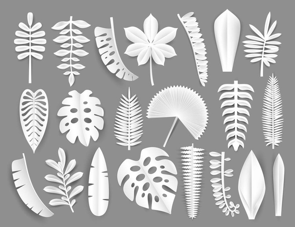 Tropical white paper cut leaves. Trendy summer exotic plants elemets with shadow isolated on grey background. Origamy style vector illustration. - Διάνυσμα, εικόνα