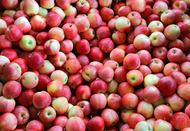 tausta monet punaiset kypsät omenat
 - Valokuva, kuva