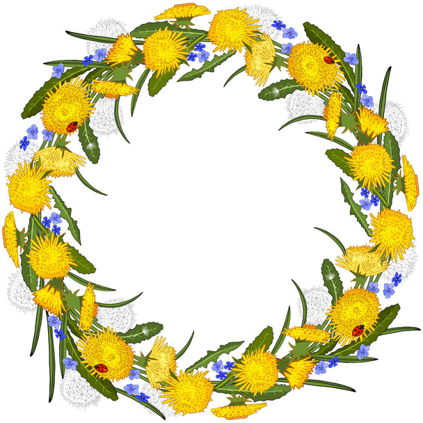 Floral wreath of dandelions and flowers isolated on white. Excellent print for greeting cards, clothes, fabric, gift box - Vecteur, image