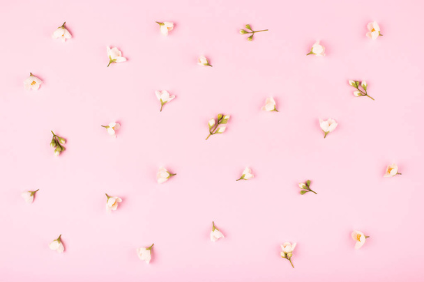 Padrão com flores de jasmim no fundo rosa
. - Foto, Imagem