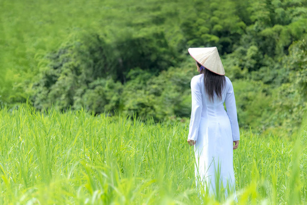 Asian women with Ao-Dai Vietnam traditional dress costume woman walking in the green meadow. - Foto, afbeelding