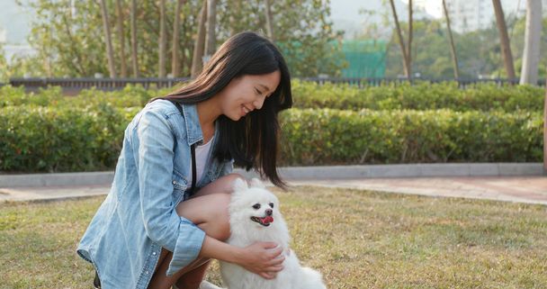 Woman play with her dog at outdoor park - 写真・画像