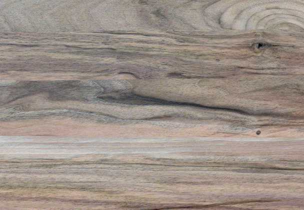 Een fragment van een houten paneel hardhout. Walnut. - Foto, afbeelding