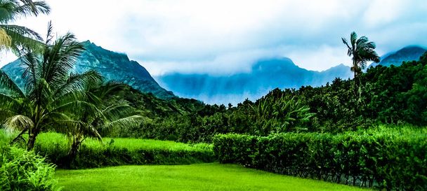 Kauai Adası, Hawaii tropik ada manzaraları - Fotoğraf, Görsel
