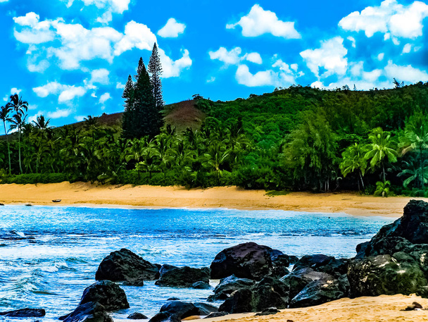 Видом на тропічний острів з острова Кауаї, Гаваї - Фото, зображення