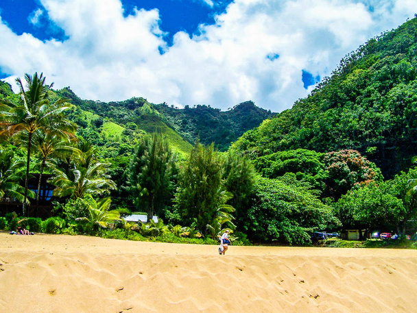 Tropical Island widoki z wyspy Kauai, Hawaje - Zdjęcie, obraz