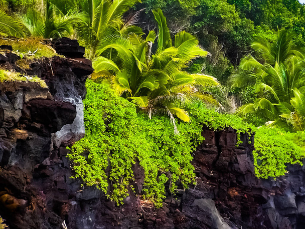 Pahoa na jihovýchodním pobřeží Big Island na Havaji, nyní předmětem nedávného 2018 lávy ze sopky Kilauea. - Fotografie, Obrázek