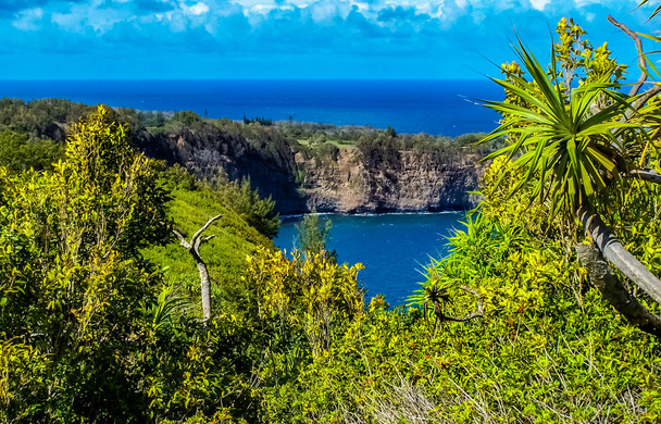 La costa tropical del valle de Pololu en la isla grande de Hawaii
 - Foto, Imagen
