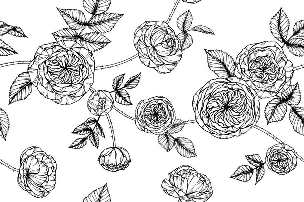 Seamless Rose flower pattern background. Black and white with drawing line art illustration. - Vector, Image