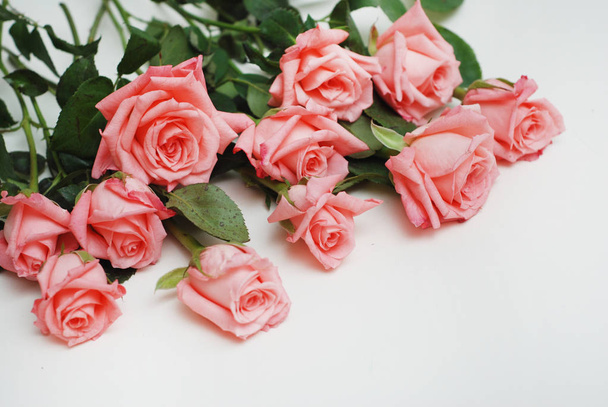 Coral Pink Rose Flower Isolated. flower bouquet bunch on White Background. - Photo, Image
