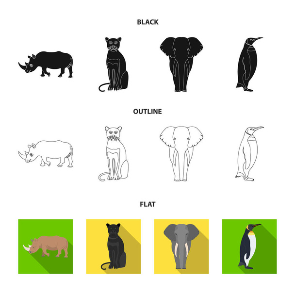 Black rhinoceros, panther wild cat, African animal elephant, imperial penguin. Wild animals set collection icons in black,flat,outline style vector symbol stock illustration web. - Vector, Image