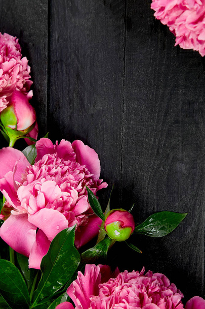 Krásná růžová Pivoňka květy na černém pozadí. Kopírovat půdorys prostoru. Plochá ležel style.greeting kartě. Žena nebo matka den. Narozeniny - Fotografie, Obrázek