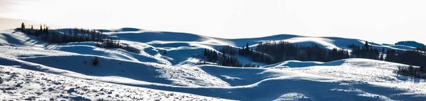 Dia de Inverno no Parque Nacional Grand Teton, Wyoming
  - Foto, Imagem