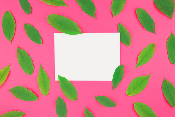 Creatieve plat lag bovenaanzicht patroon met verse groene bladeren op helder roze achtergrond met briefkaart mock up en ruimte in minimale pop-art stijl, sjabloon voor tekst kopiëren - Foto, afbeelding