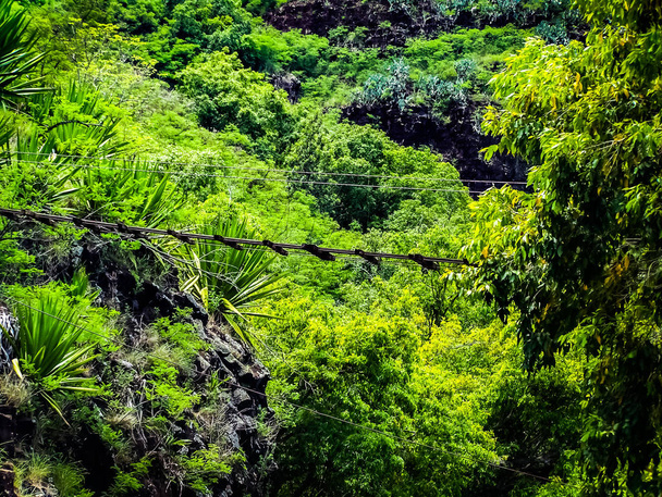 Тропічний рай в Waipio долині на Великому острові Гаваї - Фото, зображення