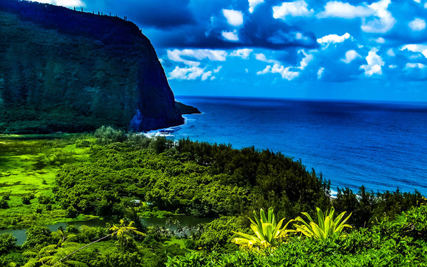 Hawaii büyük ada üzerinde Waipio Vadisi'nde tropik cennet - Fotoğraf, Görsel