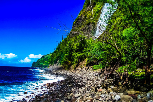 ハワイ島のワイピオ渓谷で熱帯の楽園 - 写真・画像