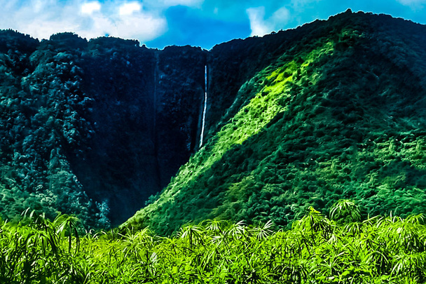 Paraíso tropical en el valle de Waipio en la isla grande de Hawaii
 - Foto, Imagen