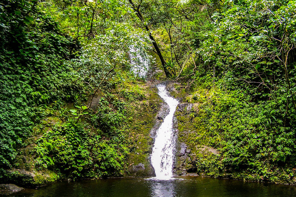 Paraíso tropical em Waipio Valley, na Ilha Grande do Havaí
 - Foto, Imagem