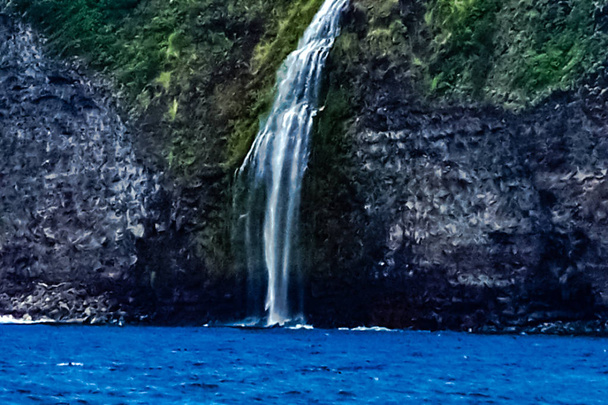 ハワイ島のワイピオ渓谷で熱帯の楽園 - 写真・画像