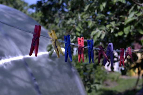 pinces à linge colorées pour sécher les vêtements sur une corde
 - Photo, image