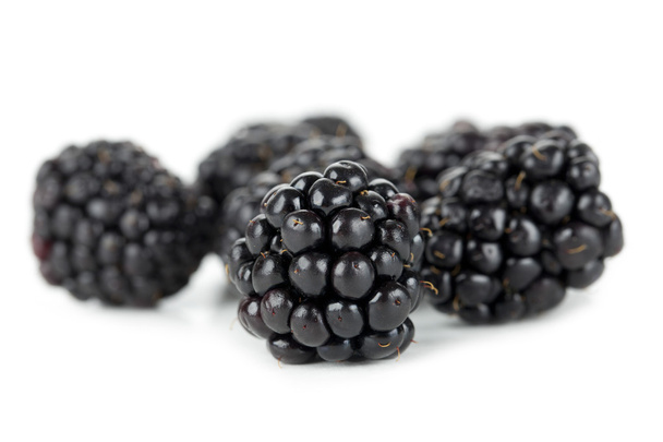 blackberries - Fotografie, Obrázek