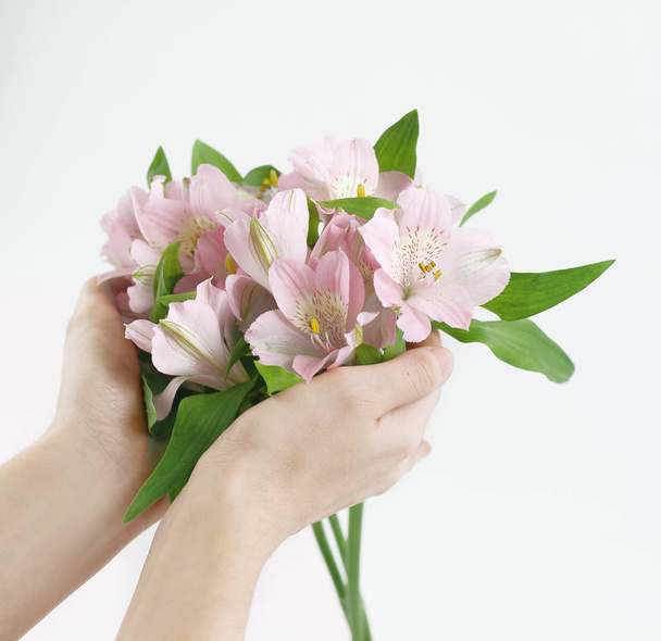 bouquet of flowers in female hands isolated on a light backgrou - Fotografie, Obrázek
