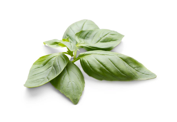 Fresh basil leaves on white background - Photo, Image