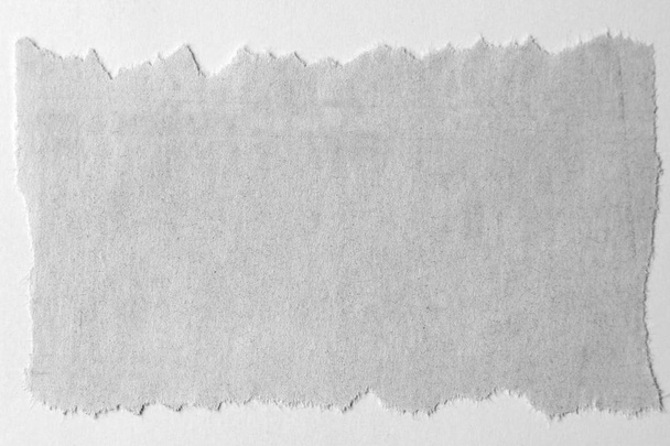 Pièce de papier déchiré sur fond uni  - Photo, image