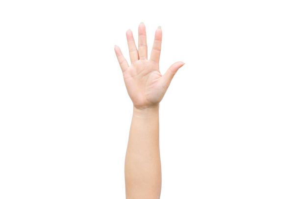 Женщина поднимает руку, показывая пять пальцев на белом фоне.
 - Фото, изображение