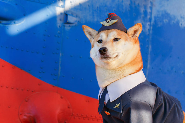 Funny photo of the Shiba inu dog in a pilot suit at the airport - Fotografie, Obrázek
