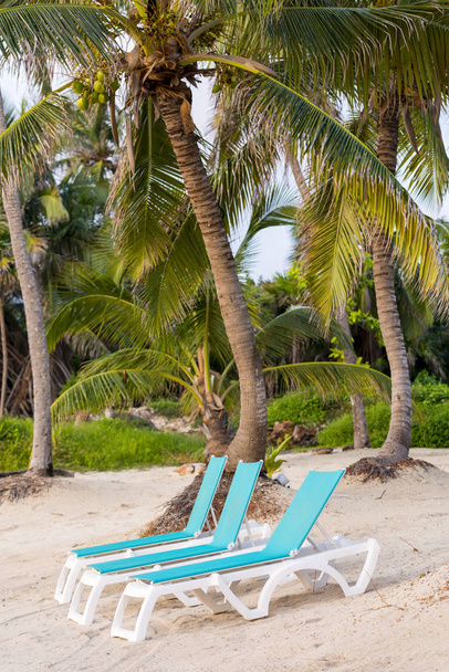 Banana lounge chairs in a paradise sand beach with tropical palmtrees  - Photo, Image