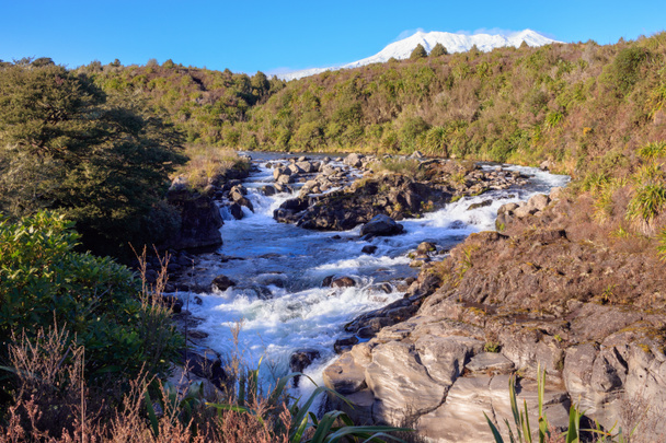 Mahuia Rapids en el Parque Nacional Tongariro, Nueva Zelanda
 - Foto, Imagen