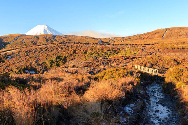 ストリームと山ナウルホエ、トンガリロ国立公園、ニュージーランドで橋を歩いてください。 - 写真・画像