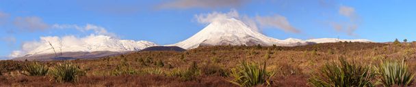 Wulkany Tongariro National Park, Nowa Zelandia - Zdjęcie, obraz