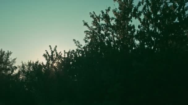 木朝の太陽 - 映像、動画