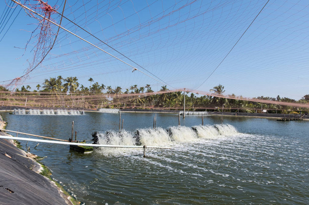 turbina de aeração de água na agricultura aquática. Negócio de incubatório de camarão e peixe na Tailândia
. - Foto, Imagem