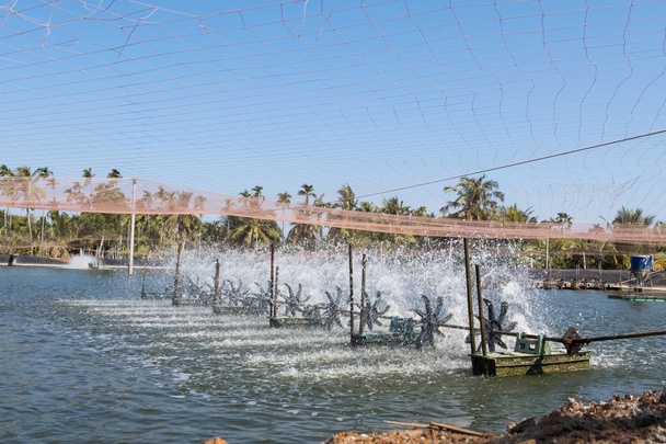 Vízturbina levegőztető mezőgazdasági vízi. Garnélarák és hal keltetőben üzleti Thaiföldön. - Fotó, kép