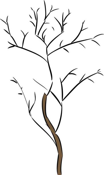 tree without leaves on white background   - Διάνυσμα, εικόνα