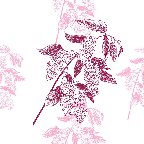 Seamless Pattern with Bird Cherry. Sketches of spring flowers - Vektör, Görsel