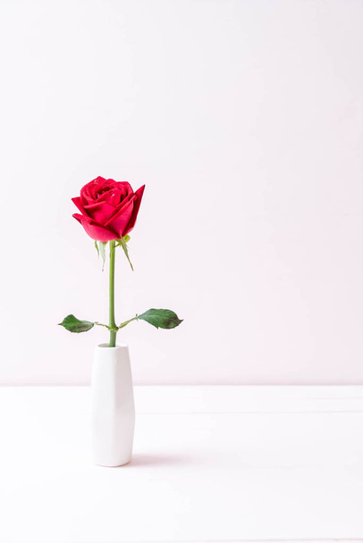 red rose on wood background - Foto, imagen