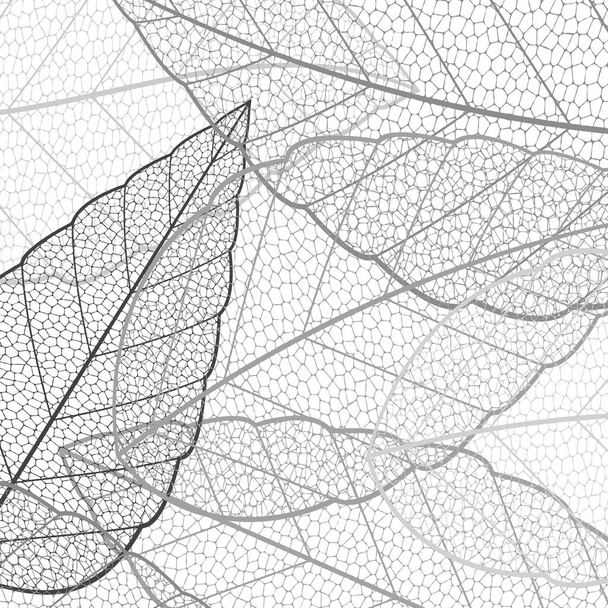 Бесшовные серые осенние листья фон, вектор, иллюстрация
 - Вектор,изображение
