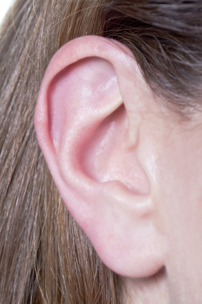 345 mulheres orelha
 - Foto, Imagem