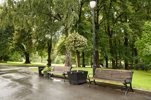 Kuninkaanlinnan puisto Oslossa, Norjassa
. - Valokuva, kuva
