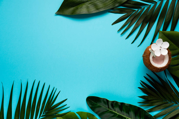 Trendy summer tropical leaves on blue background. Space for a text. Bright summer color. Minimal style. - Foto, imagen