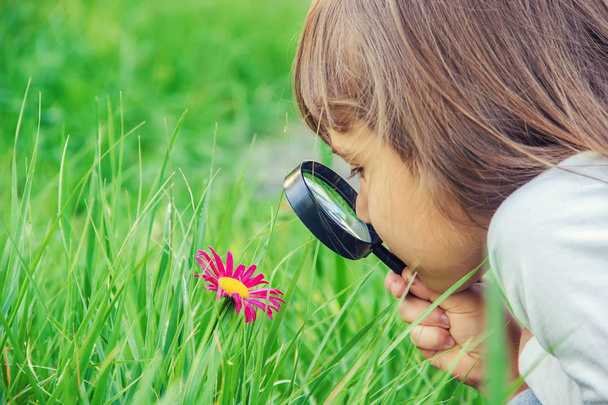The child is looking in a magnifying glass. Increase. selective focus. - Photo, Image