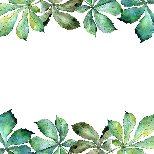 Green chestnut leaf. Leaf plant botanical garden floral foliage. Frame border ornament square. - Photo, image