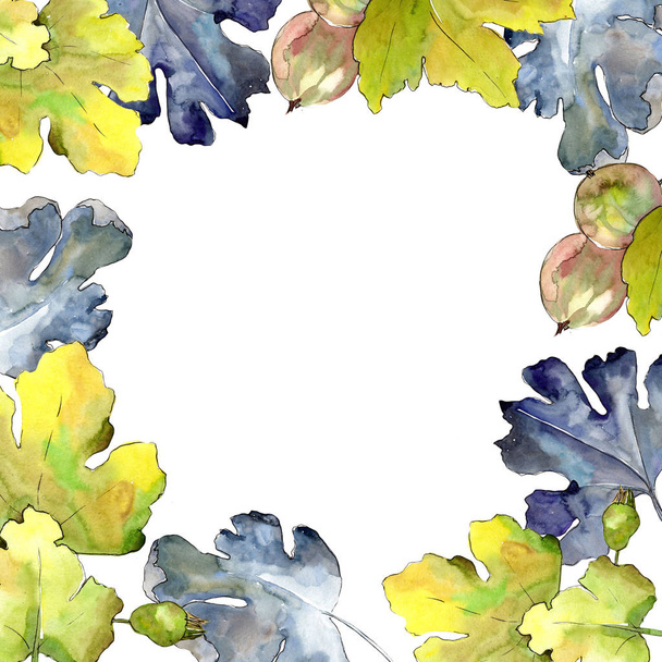 Φραγκοστάφυλο φύλλων και των μούρων. Φύλλο φυτού Βοτανικός Κήπος floral φύλλωμα. Πλαίσιο συνόρων στολίδι τετράγωνο. - Φωτογραφία, εικόνα